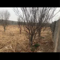 چهاردیواری باغ ۶۴۰متر یوسف‌رضا