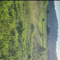 زمین مسکونی ۳۴۷متر جای دنج وعالی
