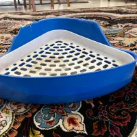 ظرف دستشویی جونده