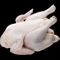 نیروی کار