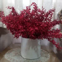 باکس گل طبیعی خشک