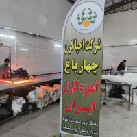 پرچم ساحلی