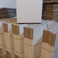 کارتن سازی علایی