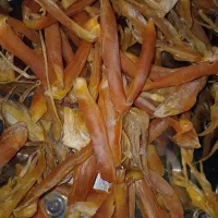 انکاس خشک شده