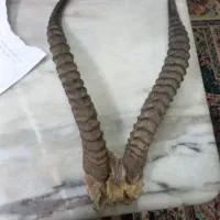صنایع دستی شیروان