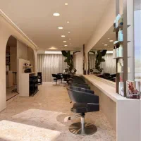 استخدام دستیار رنگ و لایت