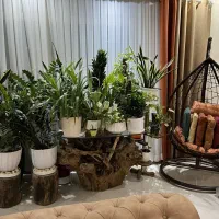 مغازه-تجاری-محدوده-امام-خمینی-پاساژ