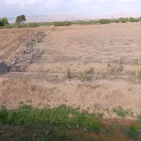 باغچه ب مساحت ۵۶۵متر