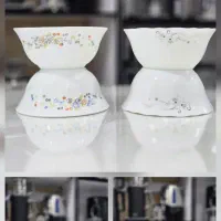 آبگوشت خوری.  فسنجون خوری .  آرکوپال دینو