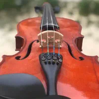 آموزش دوره تخصصی ویولن،سلفژ،موسیقی کودک