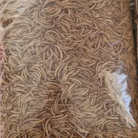 فروش‌کرم‌میل‌ورم‌‌زنده‌وخشک