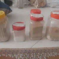 مکمل حلزون