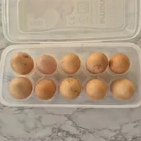 تخم مرغ برهما و امپراطور