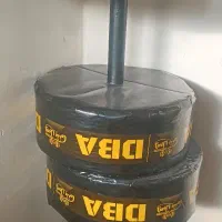 دمبل