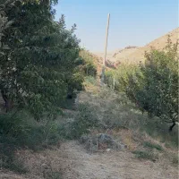 خانه-باغ-حاجی-مامیان