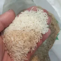 برنج ایرانی هاشمی