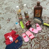 کیف حمل سگ