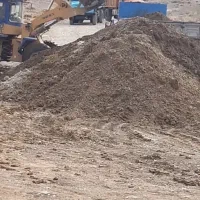 کود مرغ