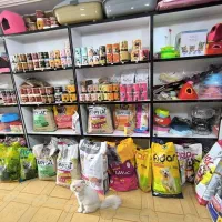 پت شاپ غذای سگ و گربه تشویقی باکس  قلاده