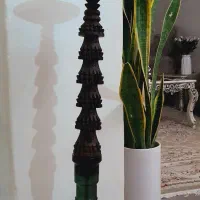 جنس چوب گردو