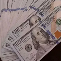 تعداد ۱۰۰ عدد اسکناس ۱۰۰ دلاری