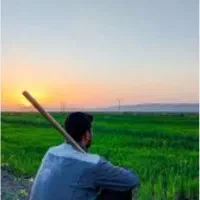 کود ارگانیک تضمینی  مناسب کشاورزی و باغ
