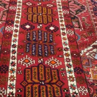 کناره سالم درحدنو