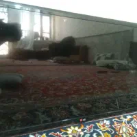 تلویزیون ۳۲ الجی