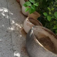 هفت عدد گلدان
