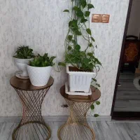 پایه فلزی|میز تلفن|اردبیل, |دیوار