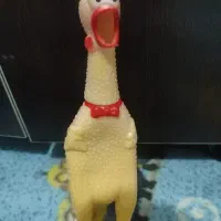 اسباب بازی مرغ نالان