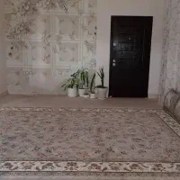 رهن اپارتمان نخل تقی