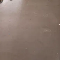 موکت