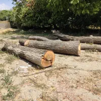خرید وبرش انواع چوب و بیشه