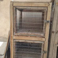 جفتکن کبوتر