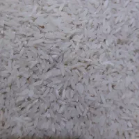 فروش برنج هاشمی