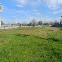 زمین ۲۸۰متر با کاربری  سند تکبرگ  راجوب رامسر