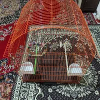 قفس پرنده درحدنو