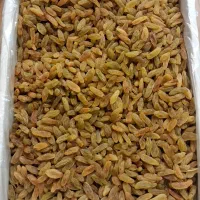 کشمش سبز