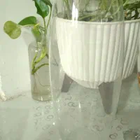 تنگماهی