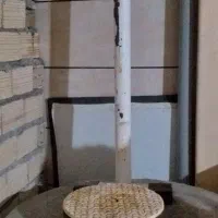 مسگرورزشی