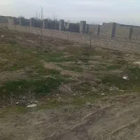 250-متر-زمین