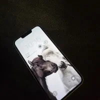 13نرمال فوری