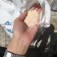 همه موارد