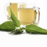 فصد خون، حجامت، زالودرمانی