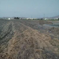 زمین باغ شهری با آب و برق مجموعه گلستان