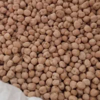 نخود آبگوشتی درجه یک زود پز