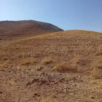 فروش زمین کشاورزی،مسکونی