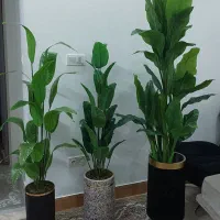 درخچه مصنوعی
