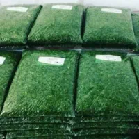 سبزی قورمه خام و سرخ شده از ۱۰ کیلو به بالا